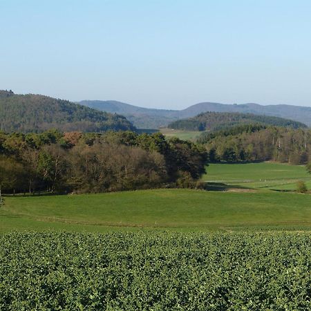 Appartamento Reitze Hoob Hommertshausen Esterno foto