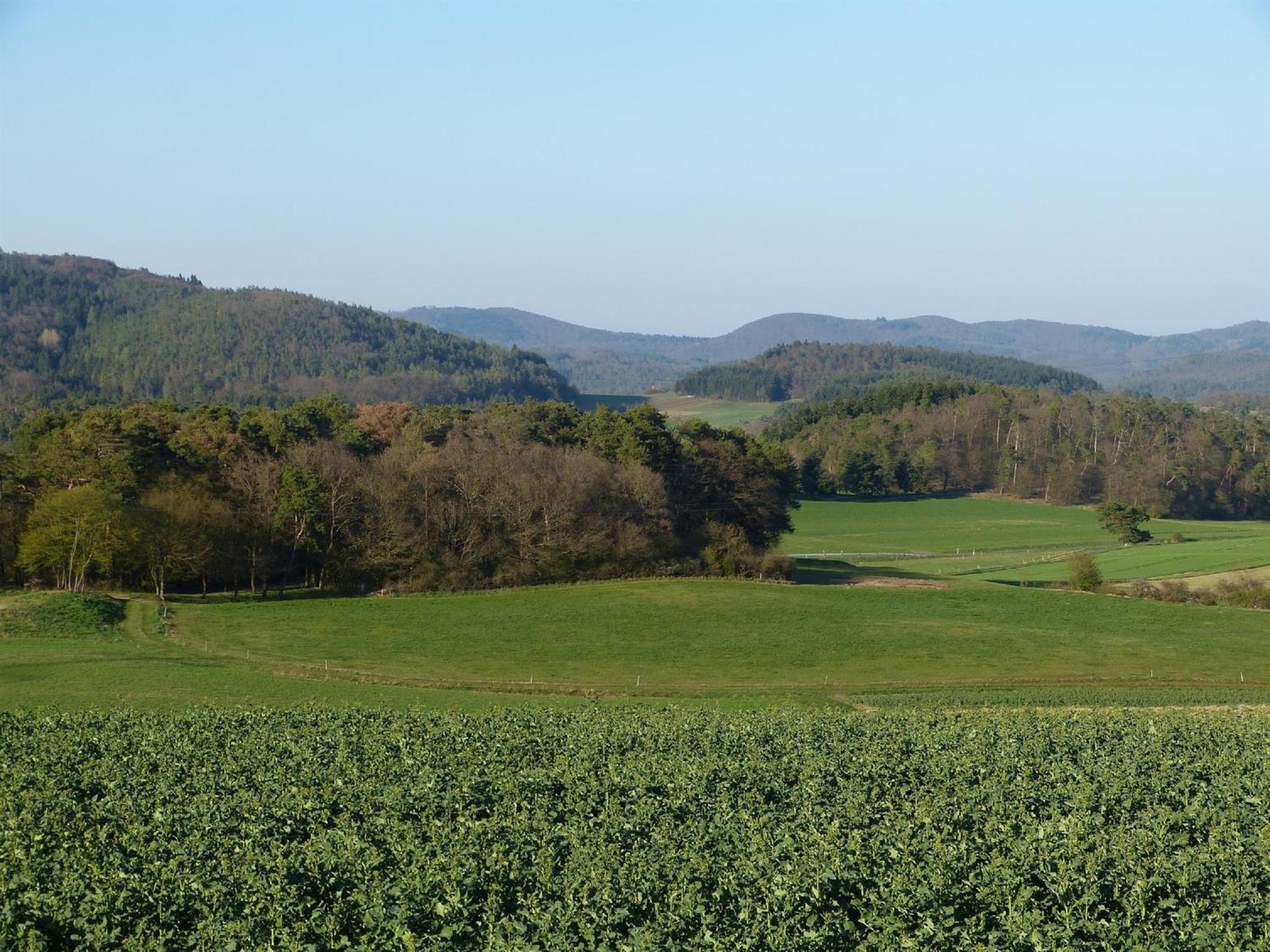 Appartamento Reitze Hoob Hommertshausen Esterno foto