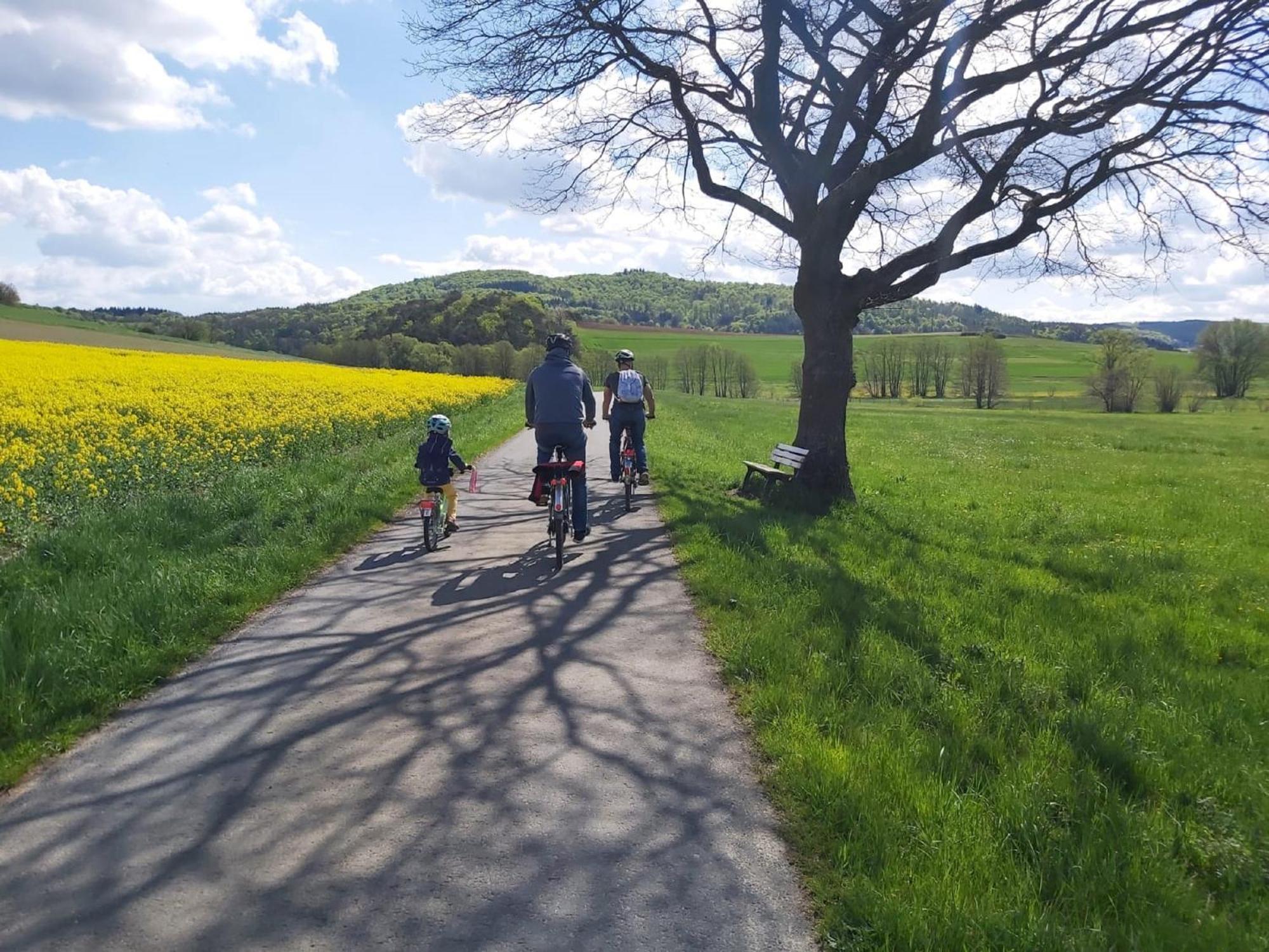 Appartamento Reitze Hoob Hommertshausen Esterno foto